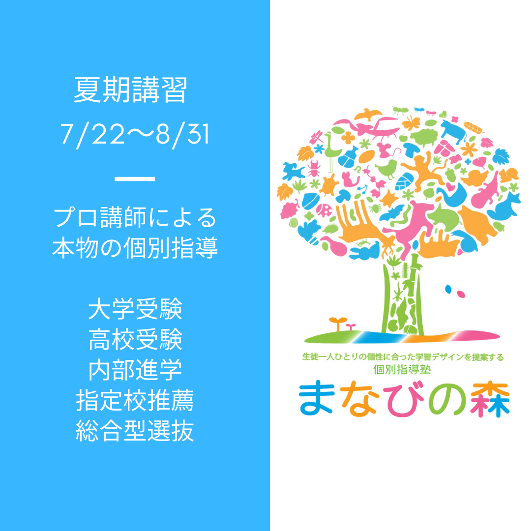 夏期講習スタート｜京王井の頭線富士見ヶ丘の個別指導塾まなびの森