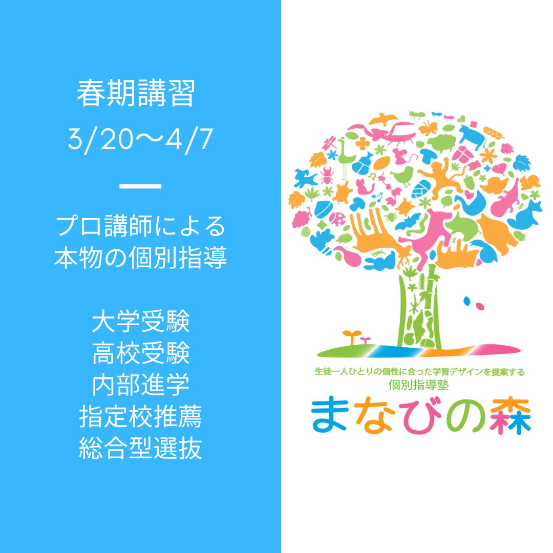 杉並区・世田谷区で個別指導の春期講習をお探しなら｜京王井の頭線富士見ヶ丘の個別指導塾まなびの森