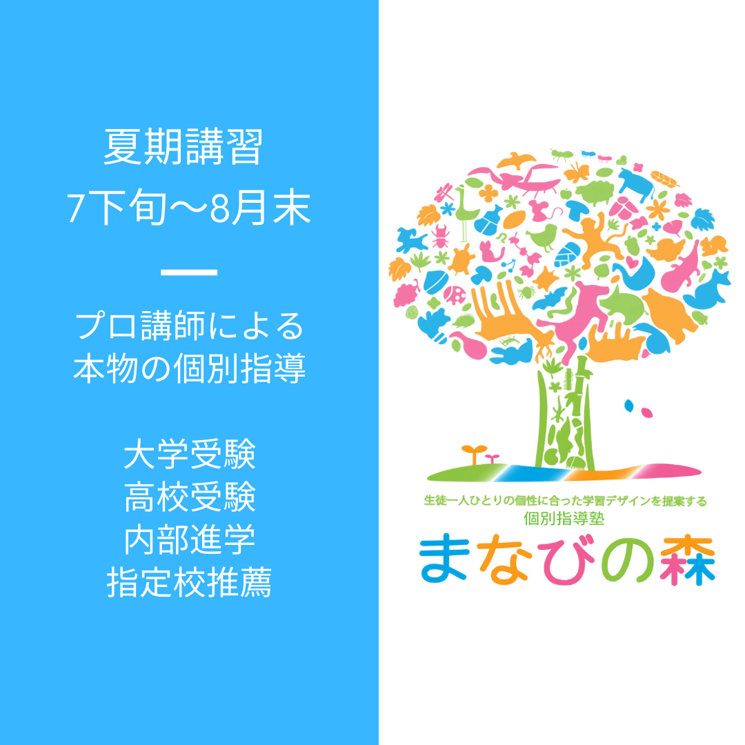 杉並区・世田谷区で大学受験・高校受験の夏期講習をお探しなら｜京王井の頭線富士見ヶ丘の個別指導塾まなびの森