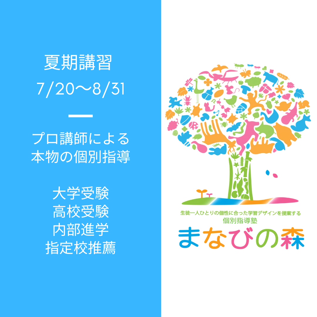杉並区・世田谷区で個別指導塾の夏期講習をお探しなら｜京王井の頭線富士見ヶ丘の個別指導塾まなびの森