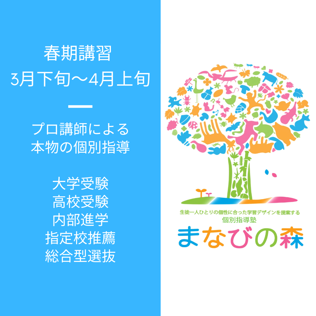 杉並区・世田谷区で個別指導塾の春期講習をお探しなら｜京王井の頭線富士見ヶ丘の個別指導塾まなびの森